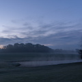 Farm pond, dawn