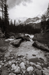Yoho River at Meeting-of-the-Waters