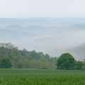 June fog