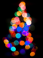 Super-Takumar 35mm f/2, Christmas Tree