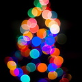 Super-Takumar 35mm f/2, Christmas Tree