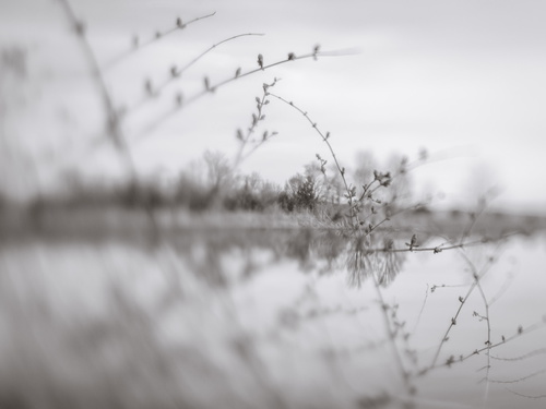 Freelensing I