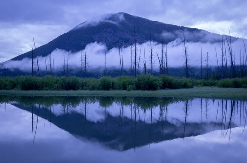 Sulphur Mountain from Vermillion Lakes