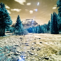 Mosquito Creek in infrared