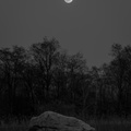 Moonrise over Good Ol' Rock