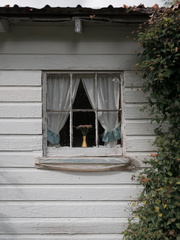 Cottagette Window