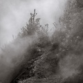 Trail through sulfur fumes