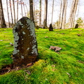 Hunnicutt Cemetery Tombstone (I)