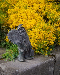 Garden gnome