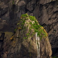 Nesting rock